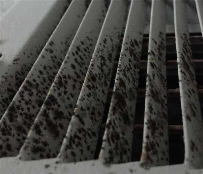Mold in Air Ducts & Vents