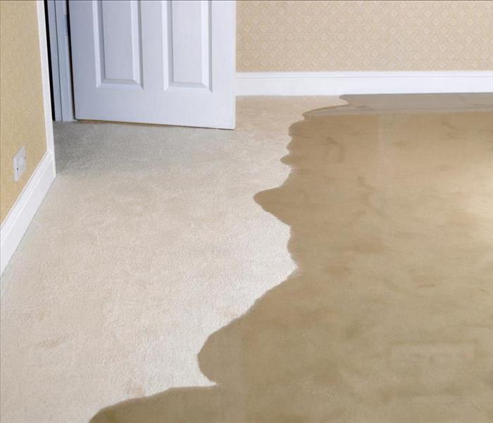 grey carpet that has water damage 